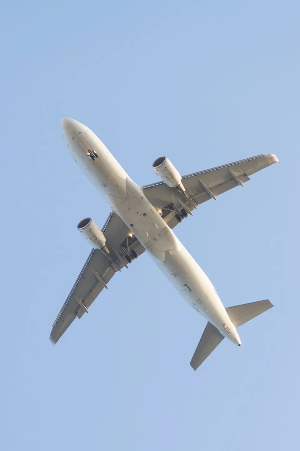 Why Choose MCF for International Freight Forwarding